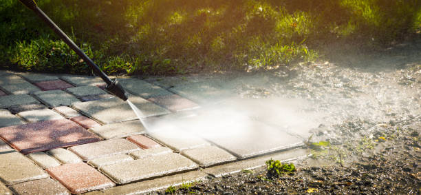 Best Driveway Pressure Washing  in Harrison, NJ